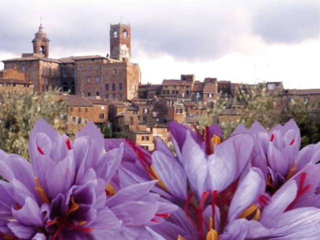 Villa Indipendente in vendita a Il Poggio, Città Della Pieve