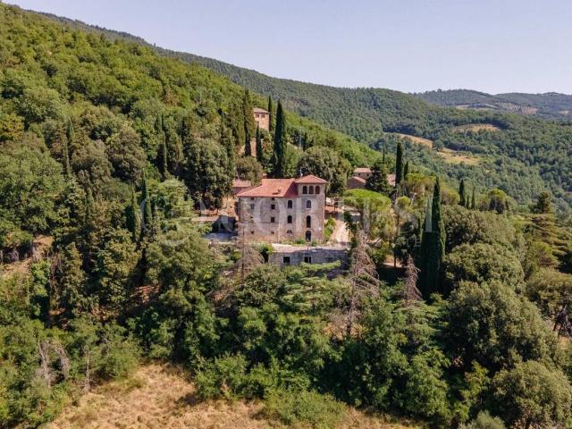Villa Indipendente in vendita a San Leo Bastia, Umbria