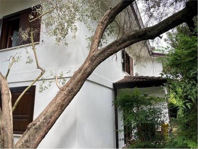 Villa Indipendente in vendita a Cittadella, Padova