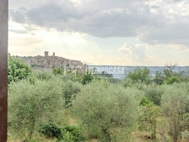 Villa Indipendente in vendita a Civitella D'agliano, Lazio