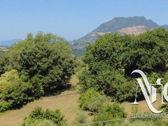 Villa Indipendente in vendita a Roma Capitale, Lazio