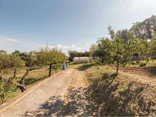 Villa Indipendente in vendita a Collecorvino, Abruzzo