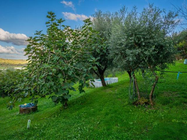 Villa Indipendente in vendita a Collesalvetti, Toscana
