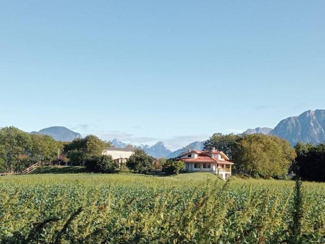 Villa Indipendente in vendita a Colloredo Di Montalbano, Friuli-Venezia Giulia
