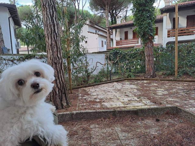 Villa Indipendente in vendita a Comacchio, Reggio Emilia