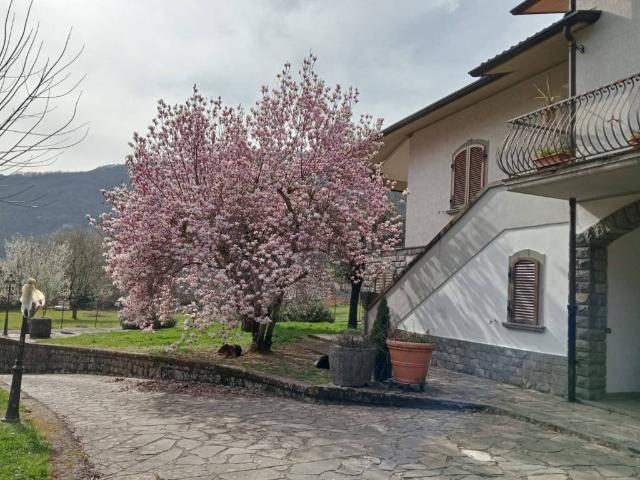 Villa Indipendente in vendita a Unione di comuni Montana Lunigiana, Licciana Nardi