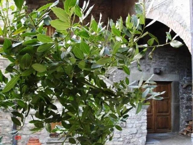 Villa Indipendente in vendita a Unione di comuni Montana Lunigiana, Comano