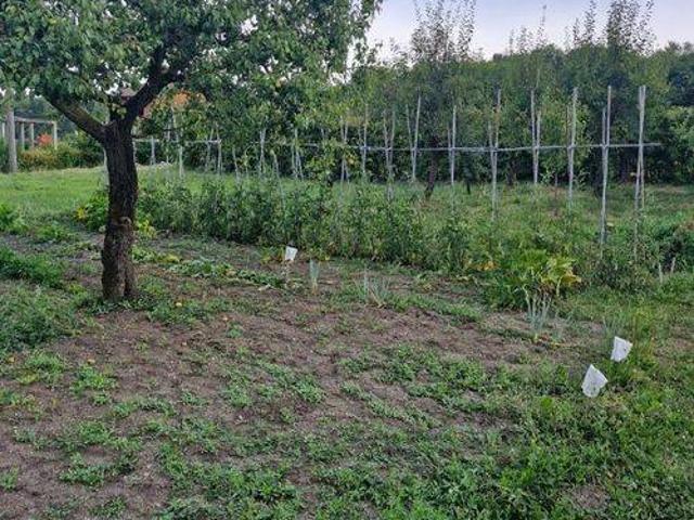 Villa Indipendente in vendita a Cascina Frati, Coniolo
