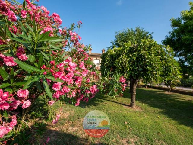 Villa Indipendente in vendita a Unione Terre e Fiumi, Copparo