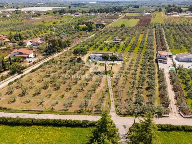 Villa Indipendente in vendita a Puglia, Bari