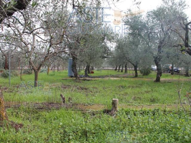 Villa Indipendente in vendita a Puglia, Bari