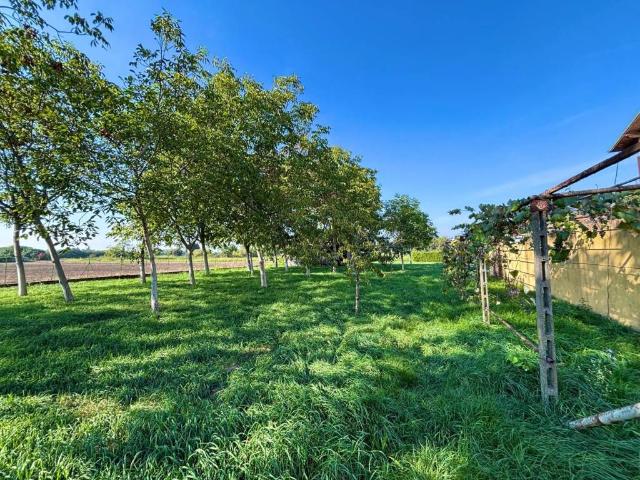 Villa Indipendente in vendita a Cerello, Corbetta