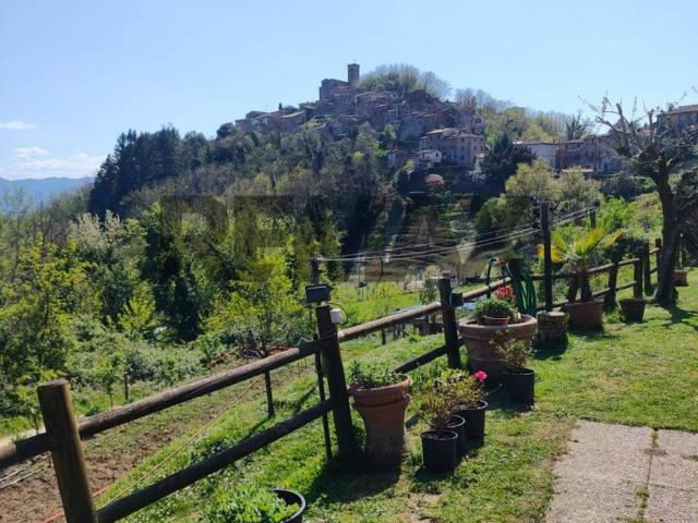 Villa Indipendente in vendita a Unione dei comuni Media Valle del Serchio, Coreglia Antelminelli