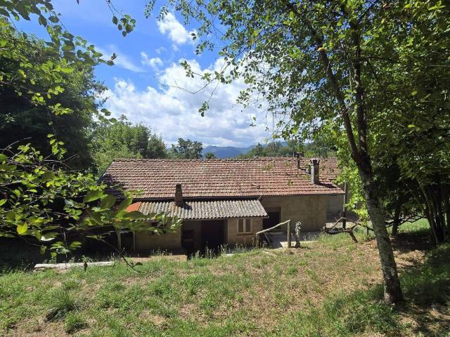 Villa Indipendente in vendita a Unione dei comuni Media Valle del Serchio, Coreglia Antelminelli