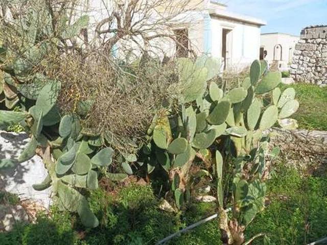 Villa Indipendente in vendita a Puglia, Lecce