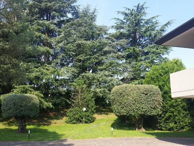 Villa Indipendente in vendita a Corno Di Rosazzo, Friuli-Venezia Giulia