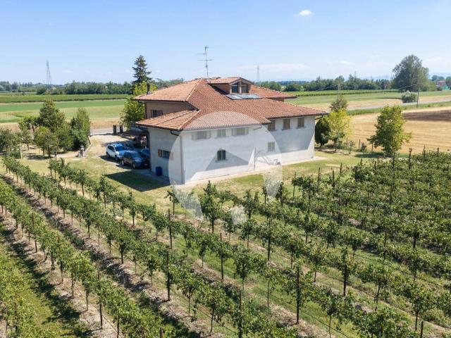 Villa Indipendente in vendita a Pianura Reggiana, Re