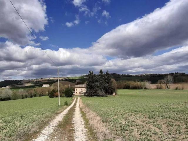 Villa Indipendente in vendita a Correzzola, Veneto