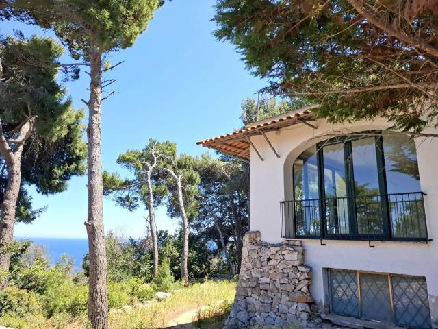Villa Indipendente in vendita a Puglia, Lecce