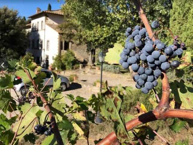 Villa Indipendente in vendita a Tavarnelle-Sant'Eusebio, Cortona