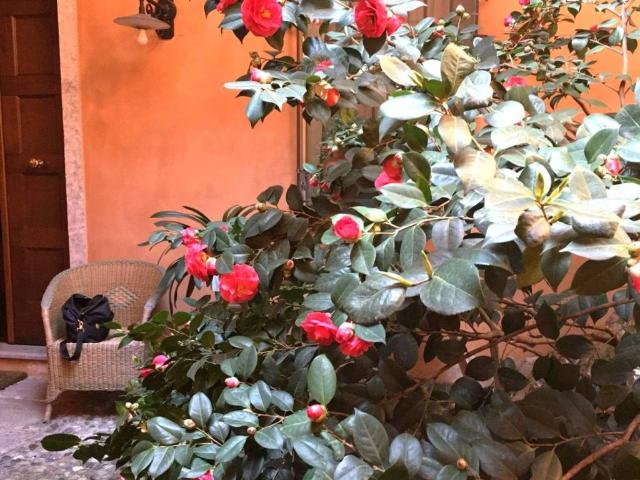 Villa Indipendente in vendita a Centro Storico, Cremona