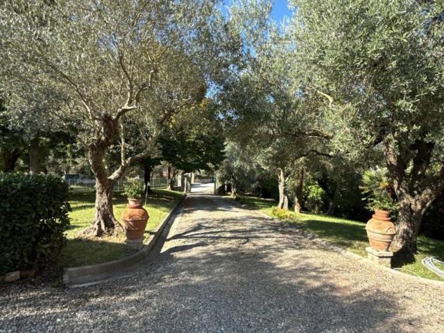 Villa Indipendente in vendita a Crespina Lorenzana, Crespina
