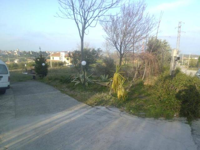 Villa Indipendente in vendita a Cupello, Abruzzo