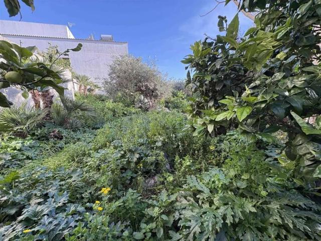 Villa Indipendente in vendita a Custonaci, Sicilia