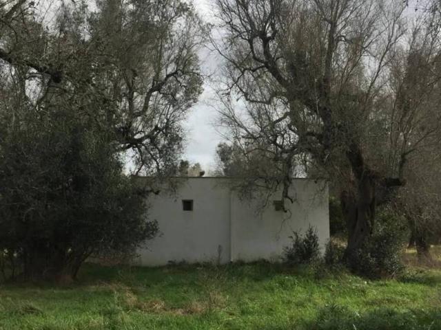 Villa Indipendente in vendita a Puglia, Lecce