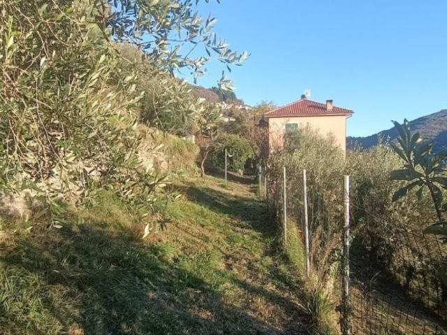 Villa Indipendente in vendita a Davagna, Liguria