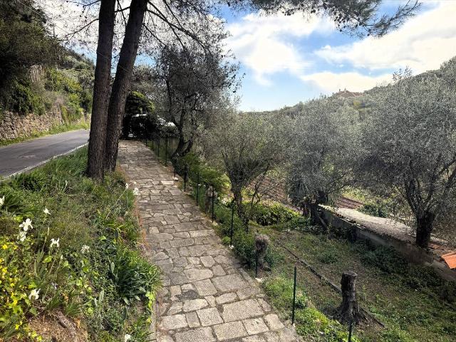 Villa Indipendente in vendita a Oliveto, Imperia