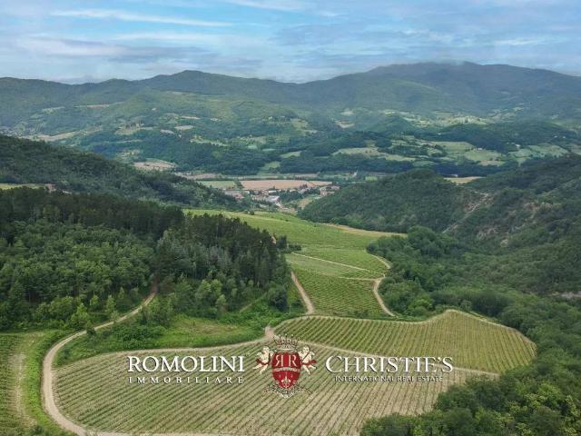 Villa Indipendente in vendita a Dicomano, Toscana