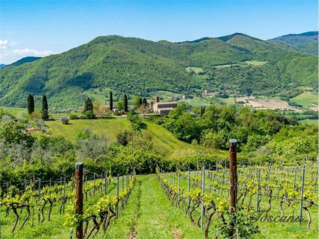 Villa Indipendente in vendita a Frascole, Dicomano