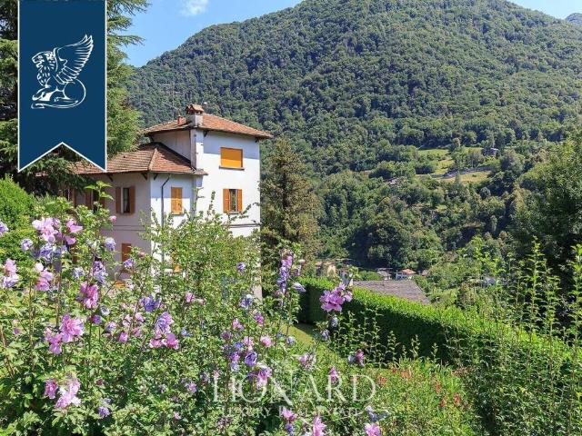 Villa Indipendente in vendita a Dizzasco, Lombardia