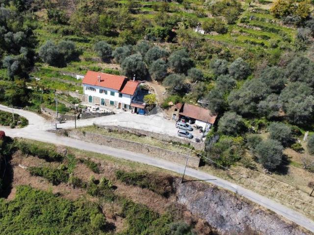 Villa Indipendente in vendita a Dolceacqua, Liguria