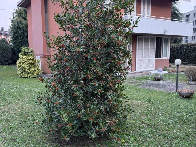Villa Indipendente in vendita a Carpesino, Erba