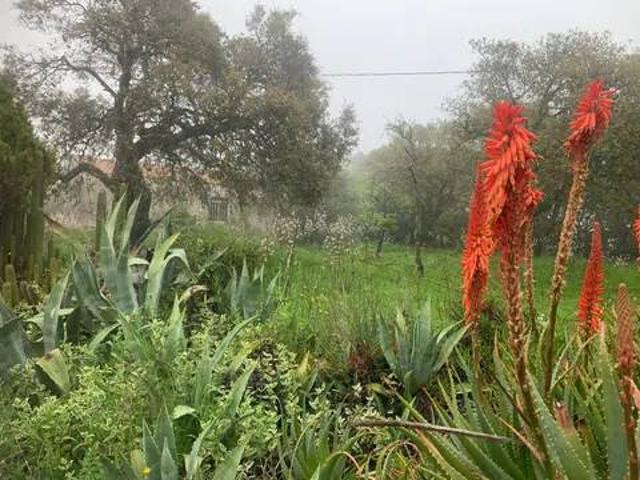 Villa Indipendente in vendita a Tula, Sardigna/Sardegna