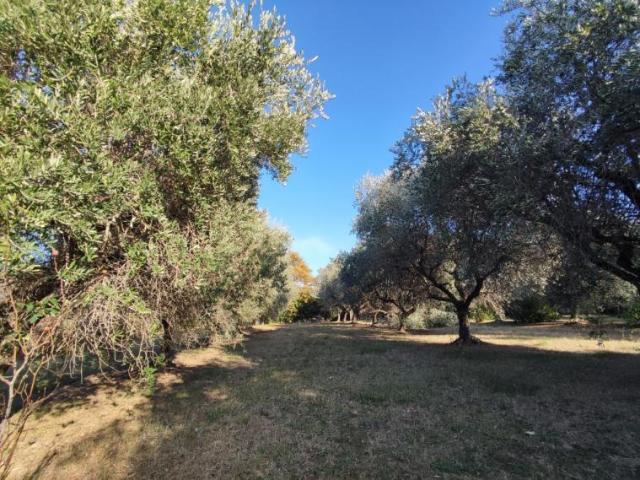 Villa Indipendente in vendita a Trave, Marche