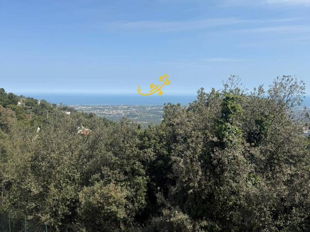 Villa Indipendente in vendita a Selva, Puglia