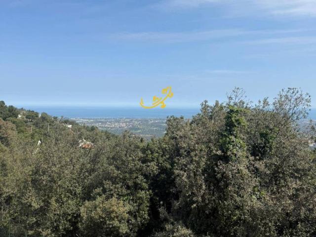 Villa Indipendente in vendita a Selva, Puglia