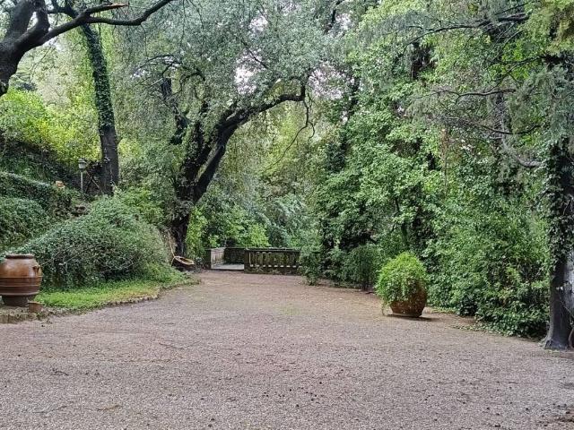 Villa Indipendente in vendita a Fauglia, Toscana