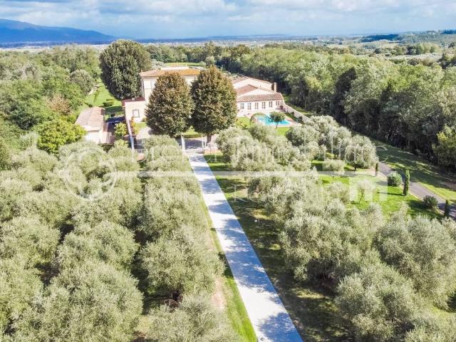 Villa Indipendente in vendita a Fauglia, Toscana