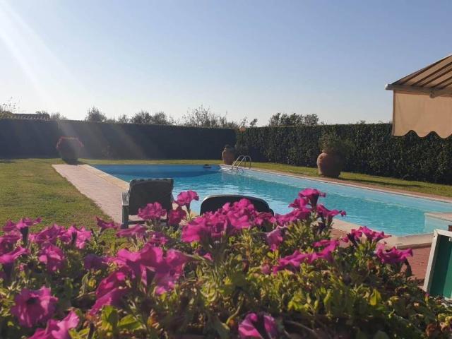 Villa Indipendente in vendita a Fauglia, Toscana