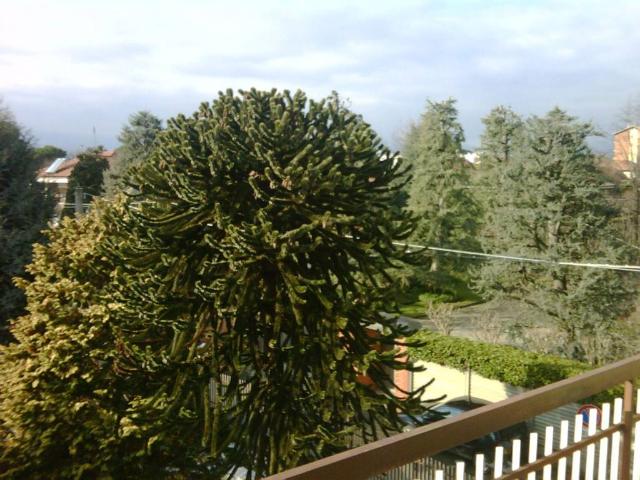 Villa Indipendente in vendita a Piemonte, Torino