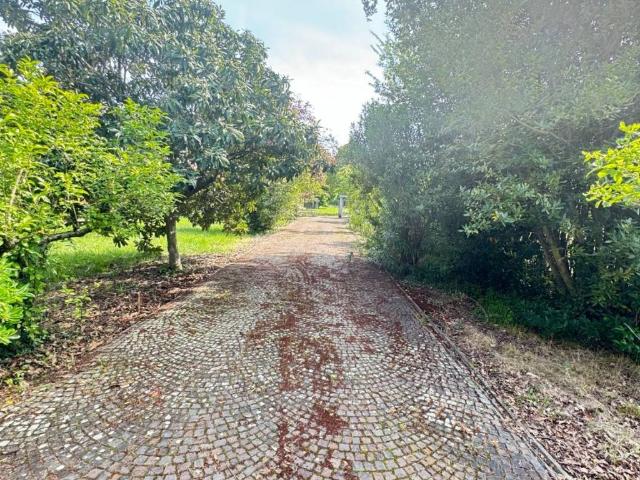 Villa Indipendente in vendita a Ferentino, Lazio