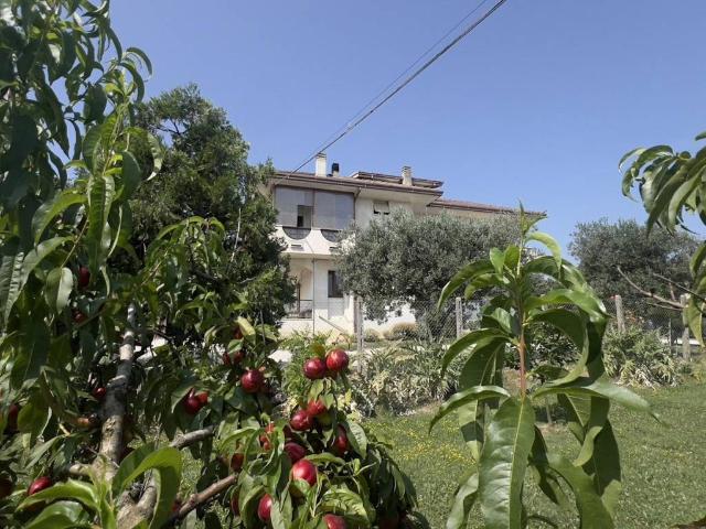 Villa Indipendente in vendita a Santa Petronilla, Marche