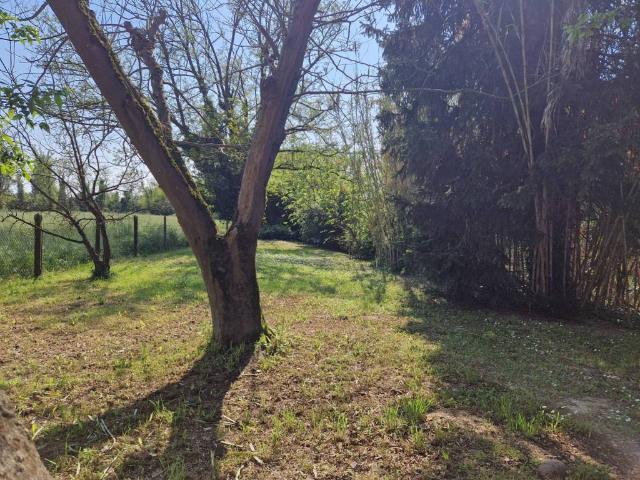 Villa Indipendente in vendita a Ferrara, Reggio Emilia