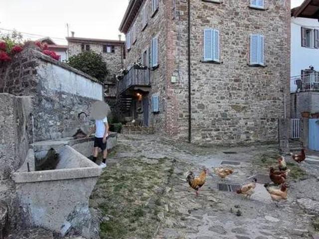 Villa Indipendente in vendita a Selva, Ferriere