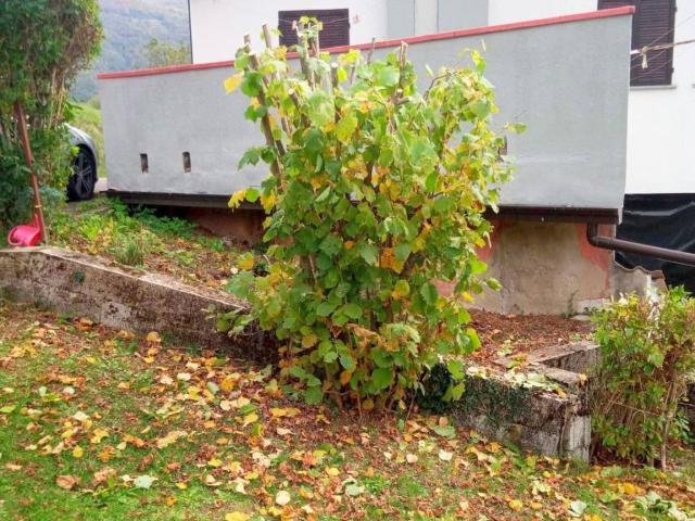 Villa Indipendente in vendita a Ferriere, Reggio Emilia