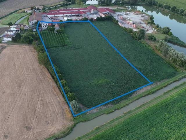 Villa Indipendente in vendita a Fiesso Umbertiano, Veneto